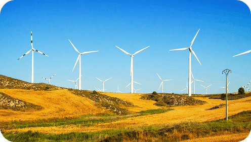 Placeholder image (4).png